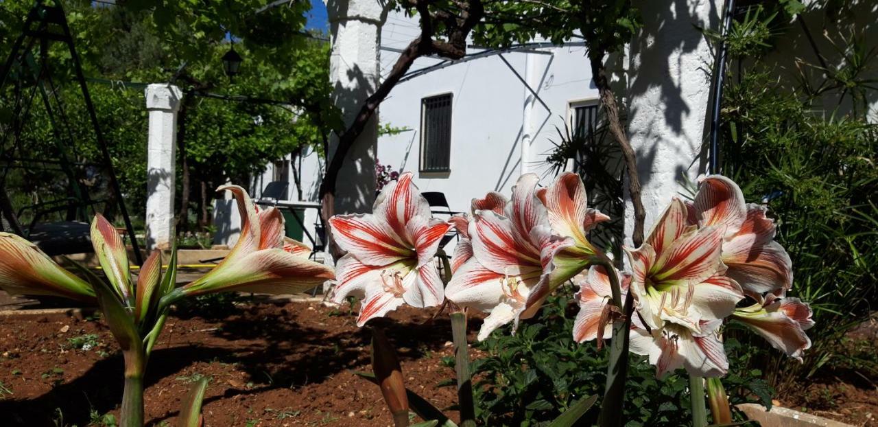 Villa Formica Monopoli Country house